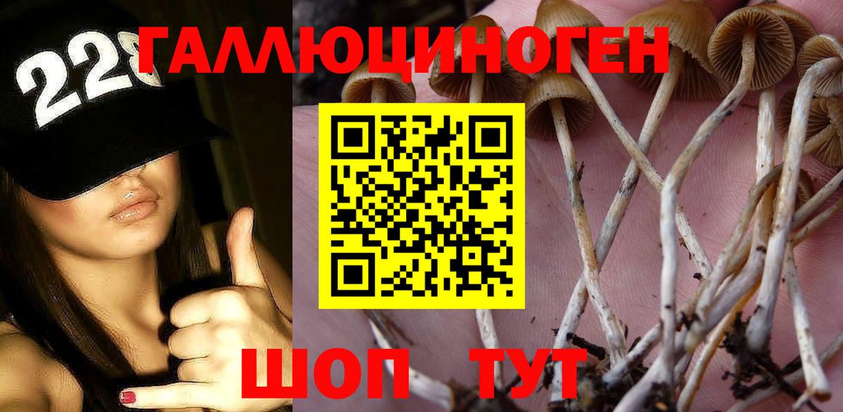 купить закладку  Псилоцибиновые грибы GOLDEN TEACHER  Вход с VPN  Омск 