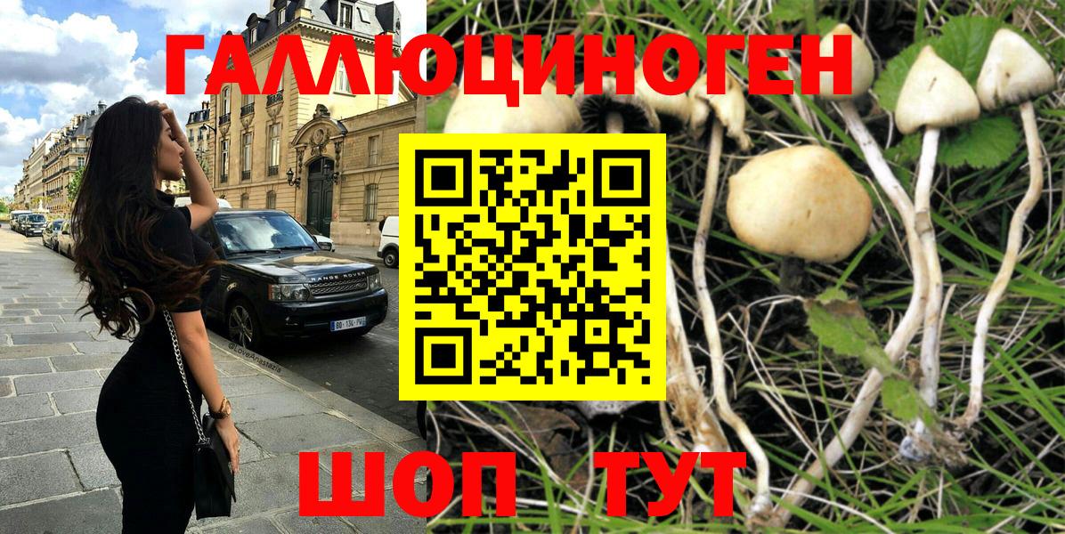 Псилоцибиновые грибы прущие грибы Омск